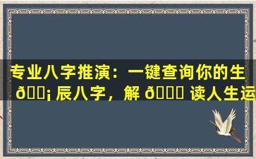 专业八字推演：一键查询你的生 🐡 辰八字，解 🐛 读人生运势！